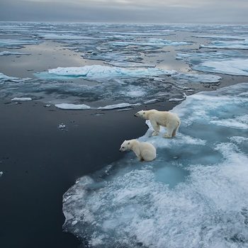 Backgr2_shutterstock_1456794434jpg