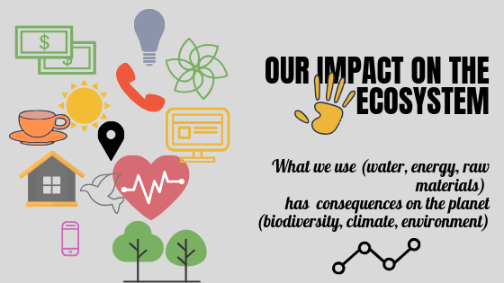 Our impact on the ecosystempng